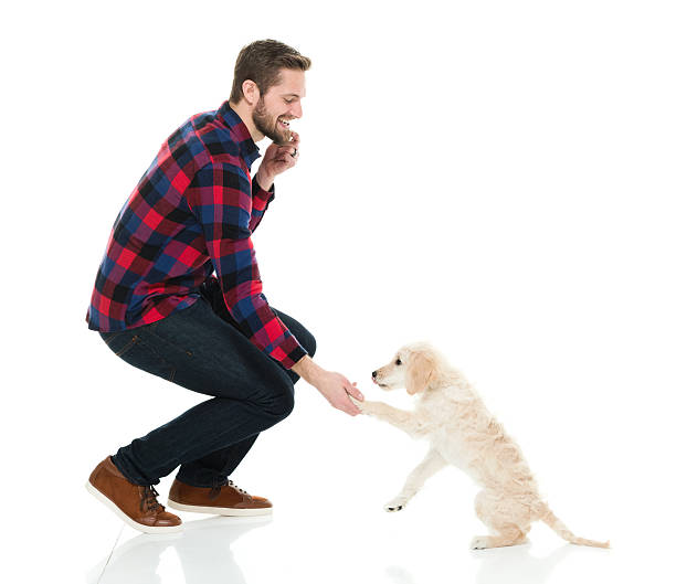 istock Smiling casual man playing with his dog 524716930