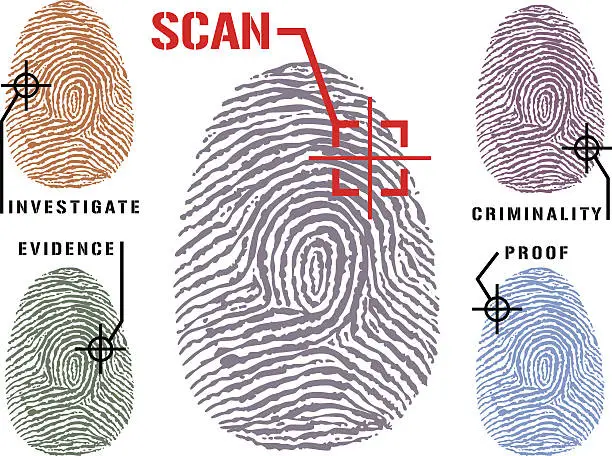 Vector illustration of Fingerprints Evidence Facts