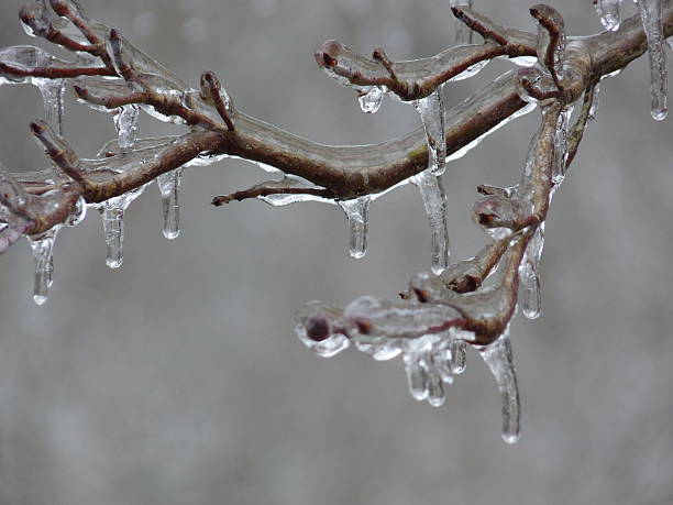 Old Man Winter's Icy Fingers