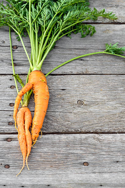 istock Ugly baby carrot on barn wood 524718600