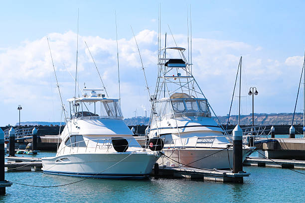 istock Marine parking of yachts 524718688
