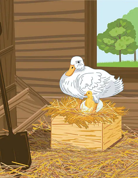 Vector illustration of Duck With Hatched Egg and duckling In A Nest Box