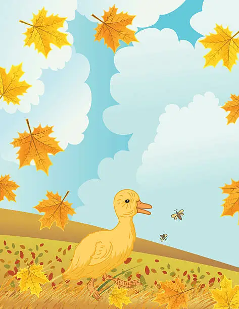 Vector illustration of Duckling Enjoying Fall  Outside On A Farm