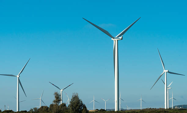 istock Wind blades turbines in the countryside 524720794