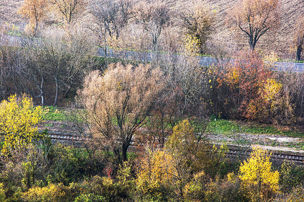 Colorful autumn trees, road and rail. Seasonal theme.