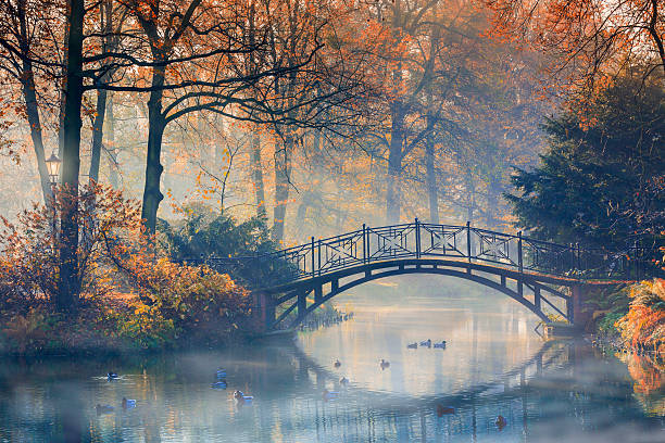 istock Old bridge in autumn the park. 524721961