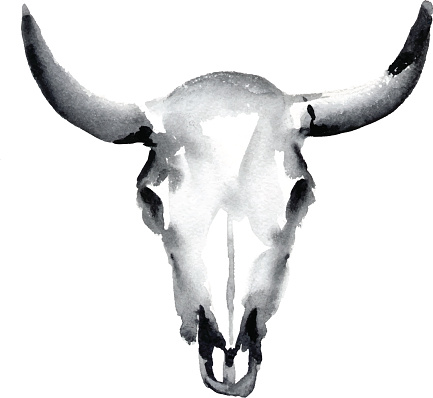 watercolor cow skull, vector illustration 