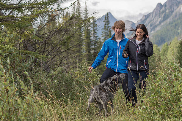 istock Young couple run with dog through forest 524722427