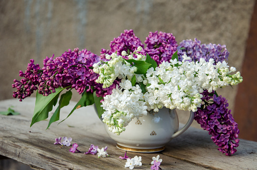 A  bouquet of violet, purple and white lilac in a vintage vase