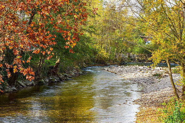 Autumn Colors by the River stock photo