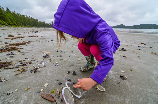 Child beachcombing the tide line on a gray sandy west coast beach