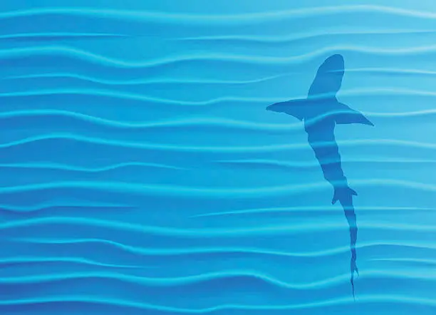 Vector illustration of Shark silhouette in blue water