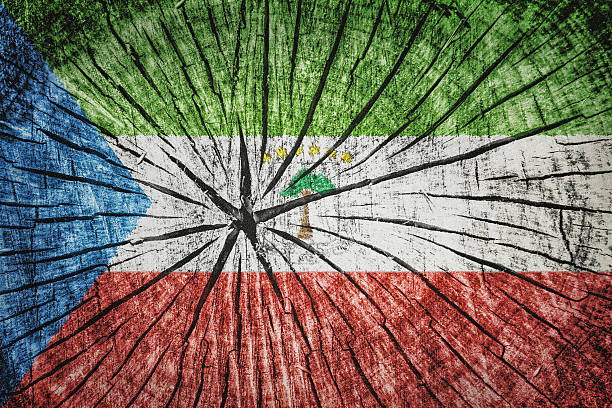 istock flag of Equatorial Guinea 524724713