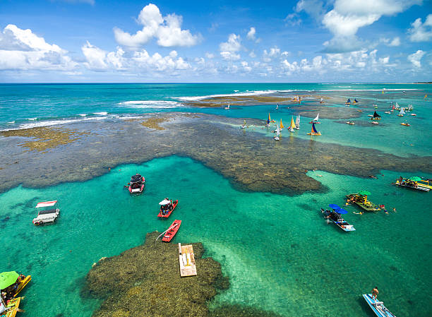 de vista aérea de porto das galinhas, pernambuco, brasil - arriba de fotografías e imágenes de stock