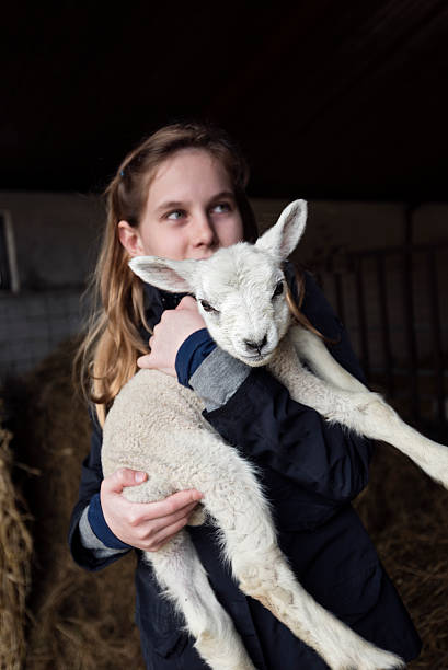 istock Young Girl Holding a 4 Day Old Lamb 524727850