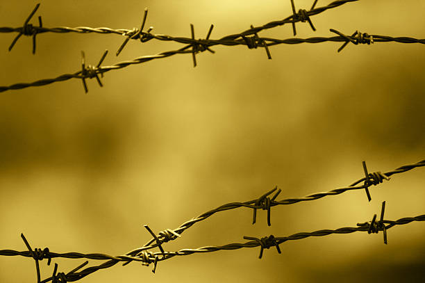 istock Barbed wire fence with out of focus background 524739913