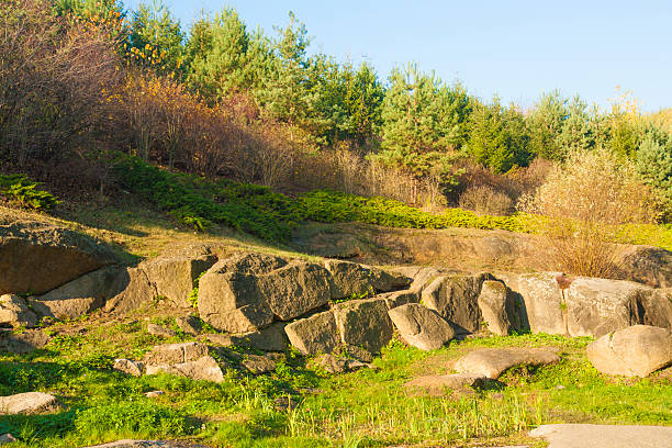 istock Autumn garden scene with rocks 524743233