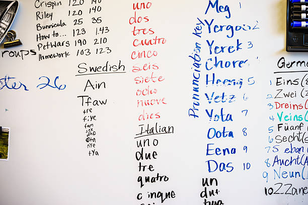 quadro branco com números diferentes traduções de idioma - spanish culture teacher learning text - fotografias e filmes do acervo