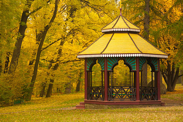 istock Chinese like pavilion in autumn park 524745631