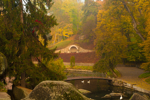 Autumn park with river and spawns scene