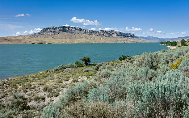 istock Buffalo Bill State Park, Cody, Wyoming, USA. 524773773
