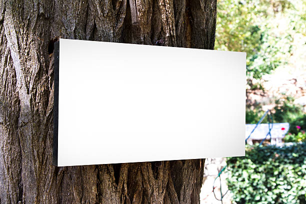 istock Blank Sign Board on Body of Tree 524776525