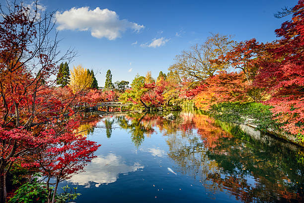 feuillage d'automne à kyoto, japon - région de kinki photos et images de collection