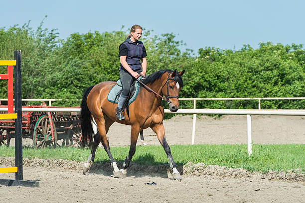 istock girl riding a horse 524777487