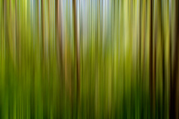 istock Abstract of trees in a forest with altered colors 524778097