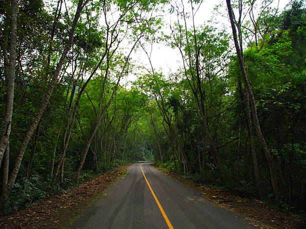 istock Long road to the wild 524779277