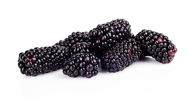 istock Studio shot of many fresh blackberries isolated white 524779325
