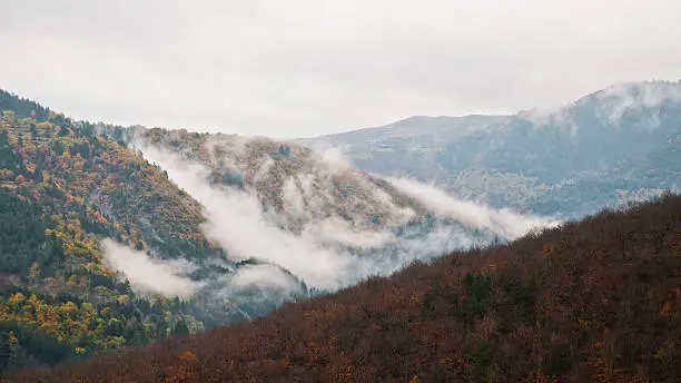 Fog in Cevennes National Park mountain, on morning - France 