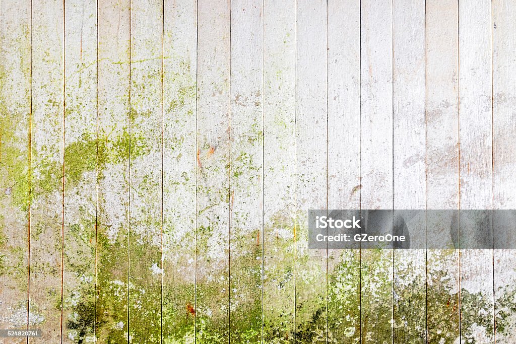 wood wall Backgrounds Stock Photo