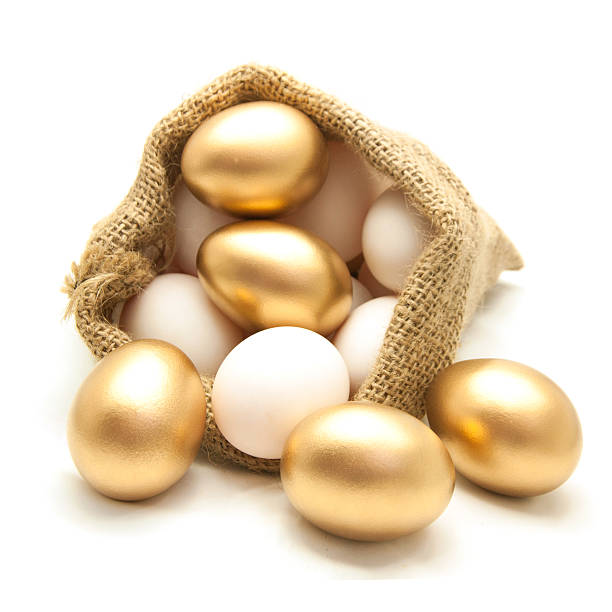 ovo dourado em lona saco - wealth eggs animal egg easter egg imagens e fotografias de stock