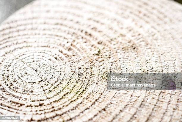 Wooden Plank With Splinters And Cracks Stock Photo - Download Image Now - Brown, Building - Activity, Close-up