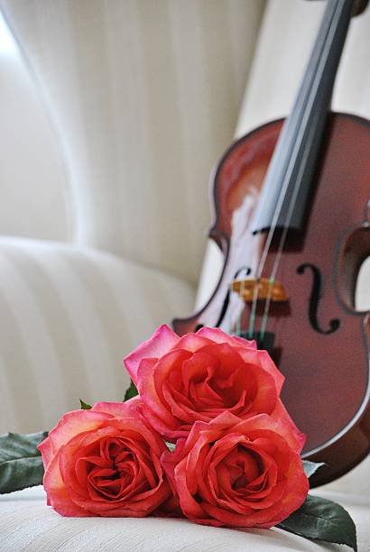 Music Instruments With Roses 520+ Violin Music Rose Flower Stock Photos, Pictures & Royalty-Free ...