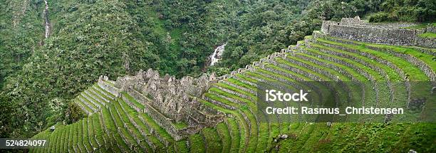 Winay Wayna Ruin Near Machu Picchu Stock Photo - Download Image Now - Inca, Terraced Field, Adventure