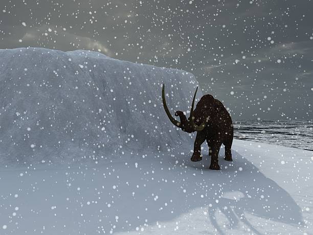 Ice age mammoth stock photo