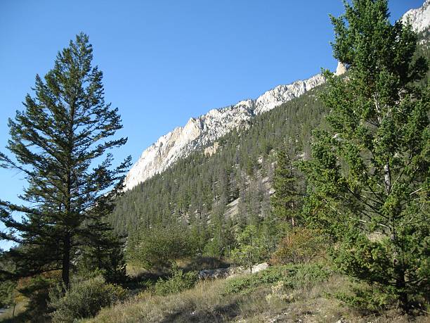 istock Ridge of the canyon wall 524856395