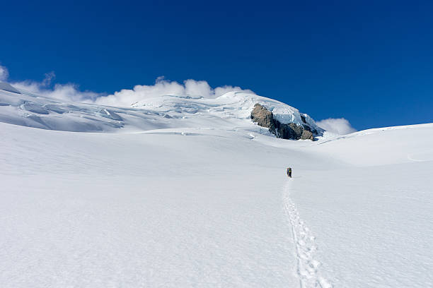 istock New Zealand 524857311