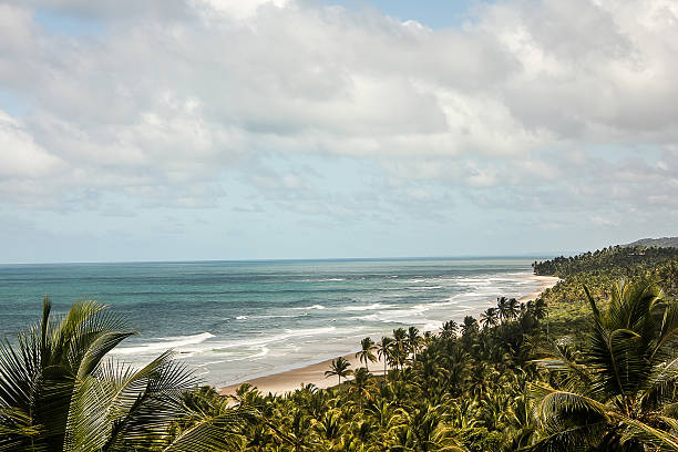 istock Tropical Deserted Beach in Bahia, Brazil 524857503