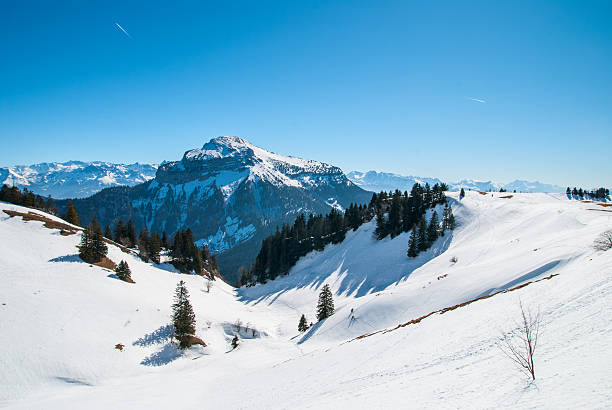 istock High Mountain Landscape in Sunny Day 524858921