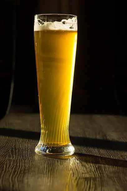 Photo of Tall Glass of Beer in Sunlight