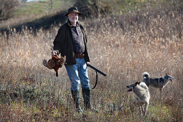 hunter に wildfowl と犬 - pheasant hunter ストックフォトと画像
