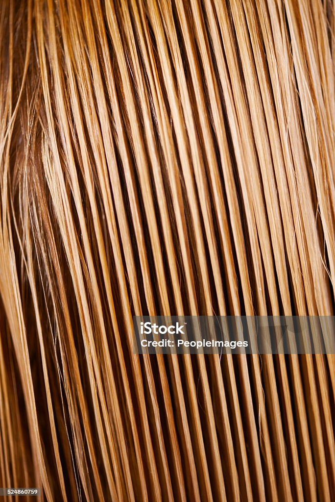 Sleek and straight A view of long blonde hair Wet Hair Stock Photo