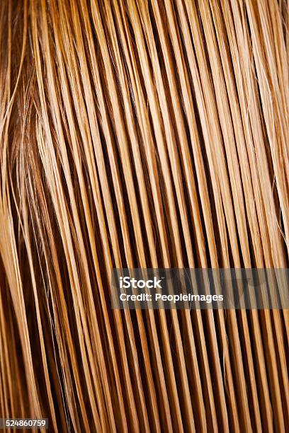 Sleek And Straight Stock Photo - Download Image Now - Wet Hair, Macrophotography, Blond Hair