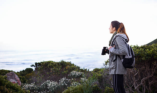 istock Searching the skies and scenery 524878283