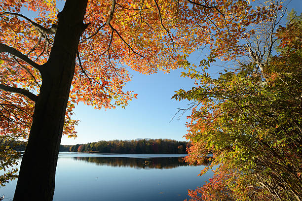 istock Fall Colors at Promised Land State Park 524879823