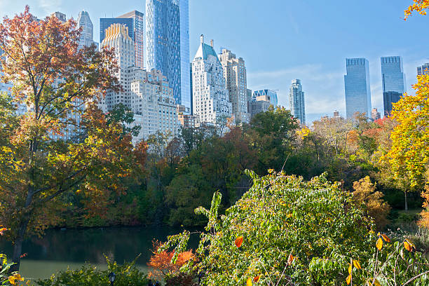 New York Skyline from Central Park New York Skyline (59th Street) seen from Central Park, New York, NY, USA. time warner center columbus circle pictures stock pictures, royalty-free photos & images