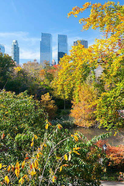 New York Skyline from Central Park New York Skyline (Columbus Circle) seen from Central Park, New York, NY, USA. time warner center columbus circle pictures stock pictures, royalty-free photos & images